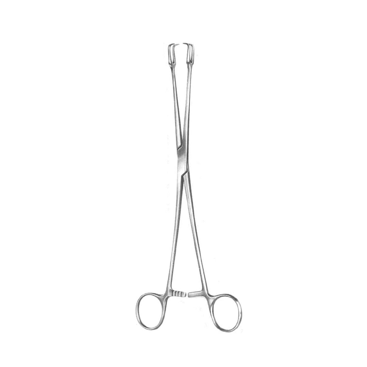 Pince de Pozzi-Schroeder 240 mm, modèles droit et courbé, deux crochets acérés et mécanisme de crantage pour la traction du col utérin