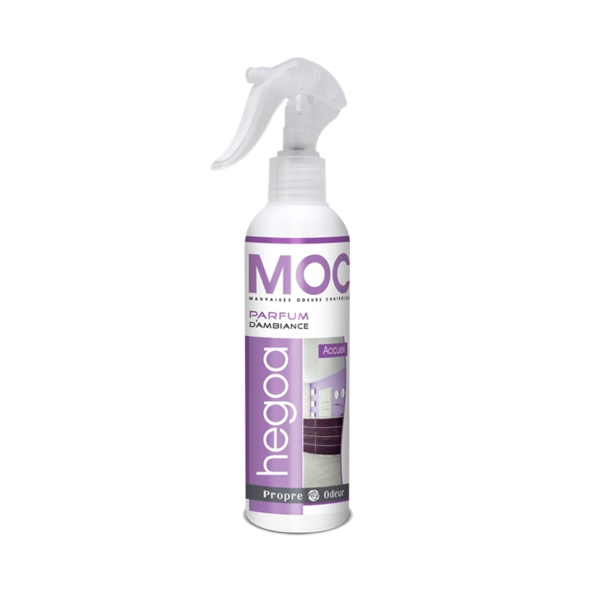 Spray parfum d'ambiance MOC Hegoa 250 ml, destructeur d'odeur professionnel pour accueil et salle d'attente