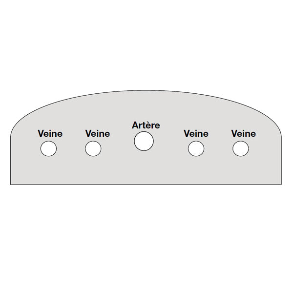 Schéma du fantôme échographie accès veineux 5 vaisseaux