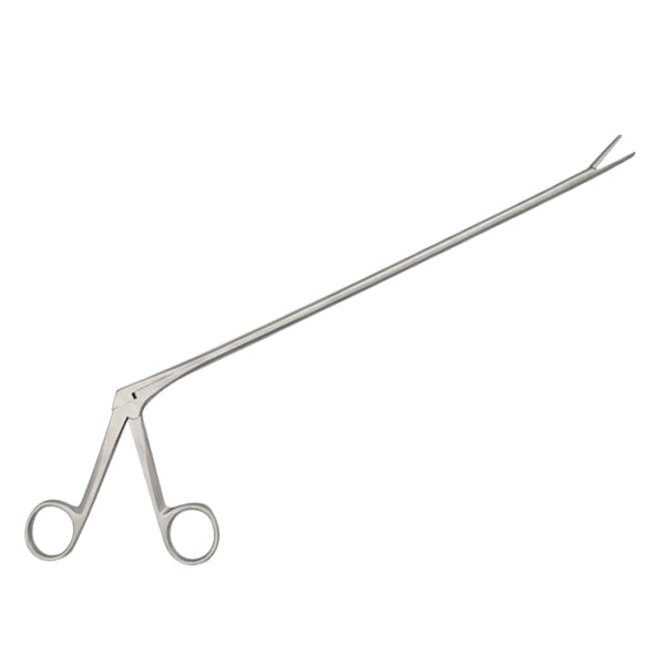 Pince de Circéron en acier inoxydable