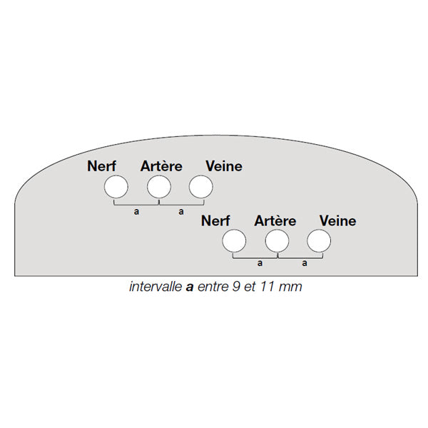 Fantôme entraînement échographie biopsie NAV - coupe