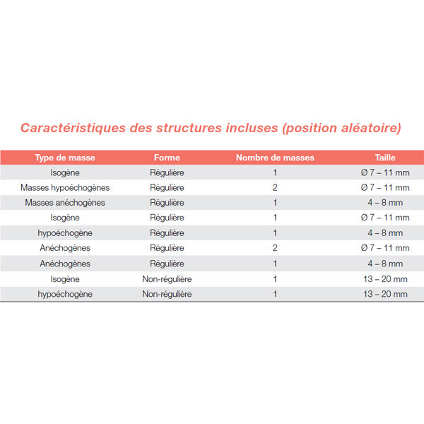 Fantôme échographie biopsie mammaire - caractéristiques