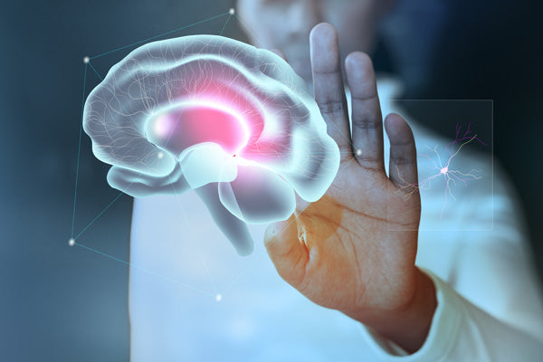 L’imagerie médicale pour comprendre les maladies du cerveau
