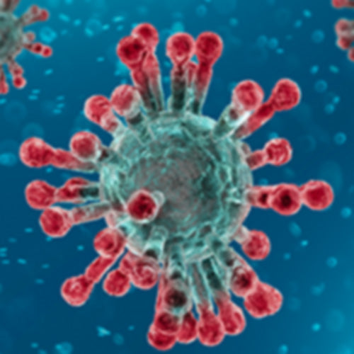 coronavirus