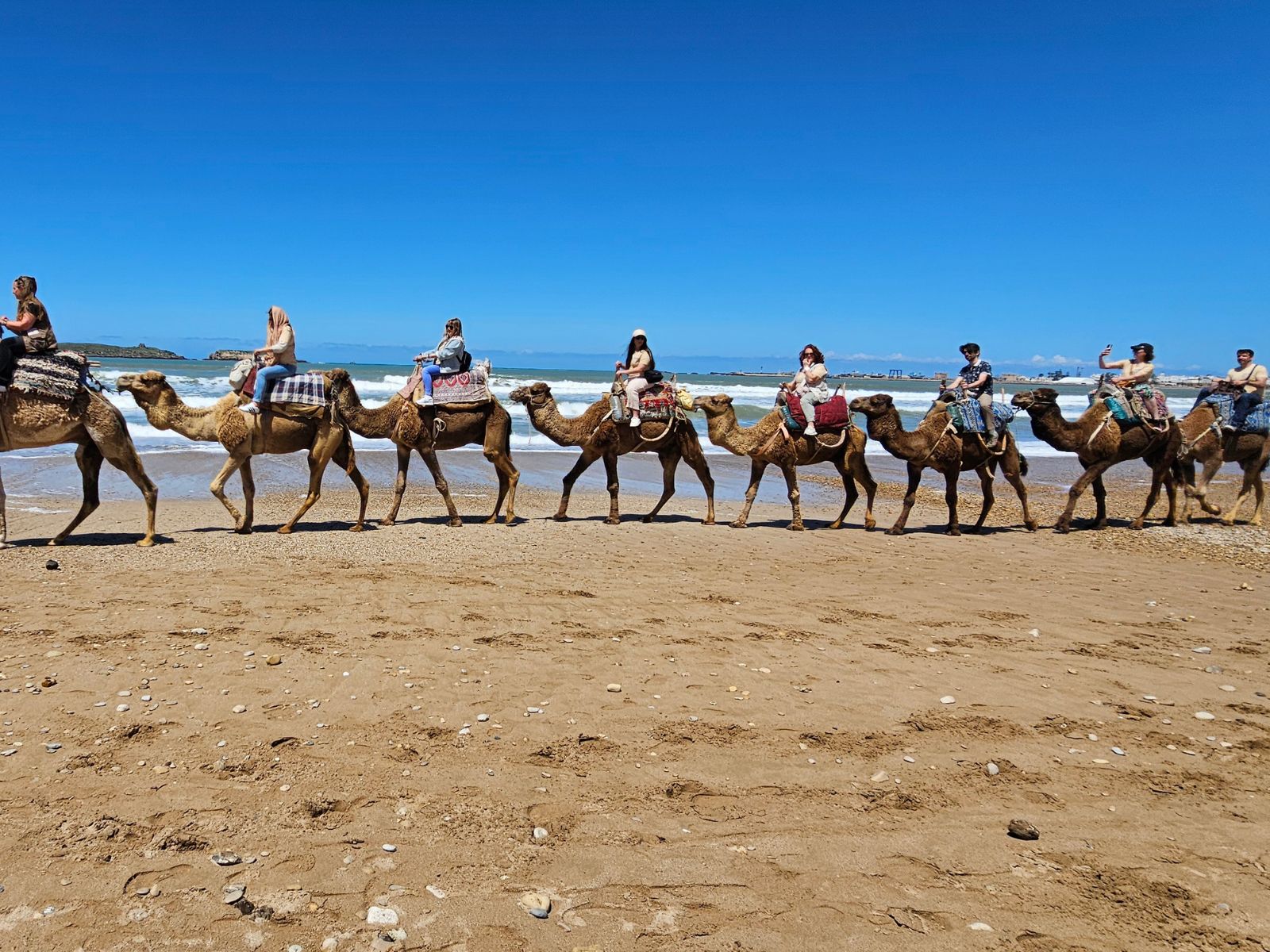 Balade à dos de dromadaire sur la plage d'Essaouira — les équipes EDM